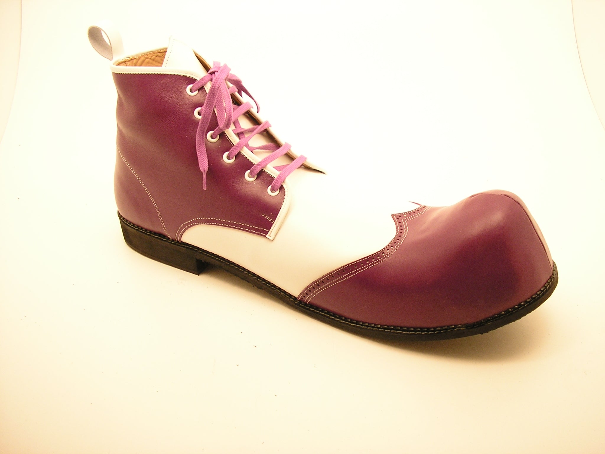 Clownschoen bolneus 36921