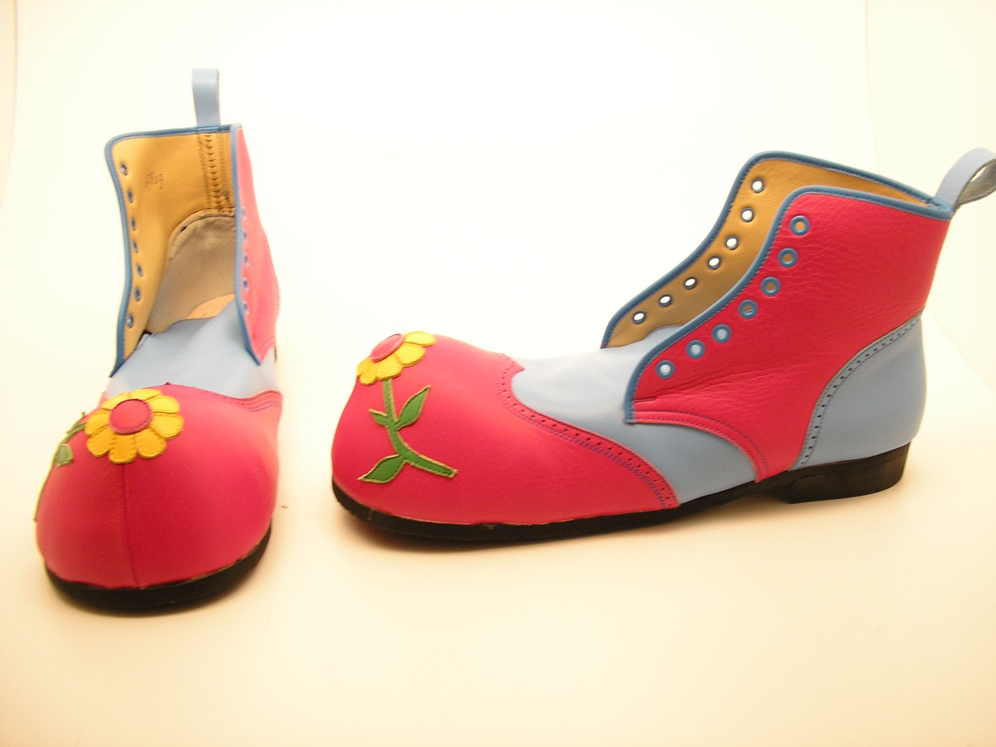 Clownschoen bloemneus