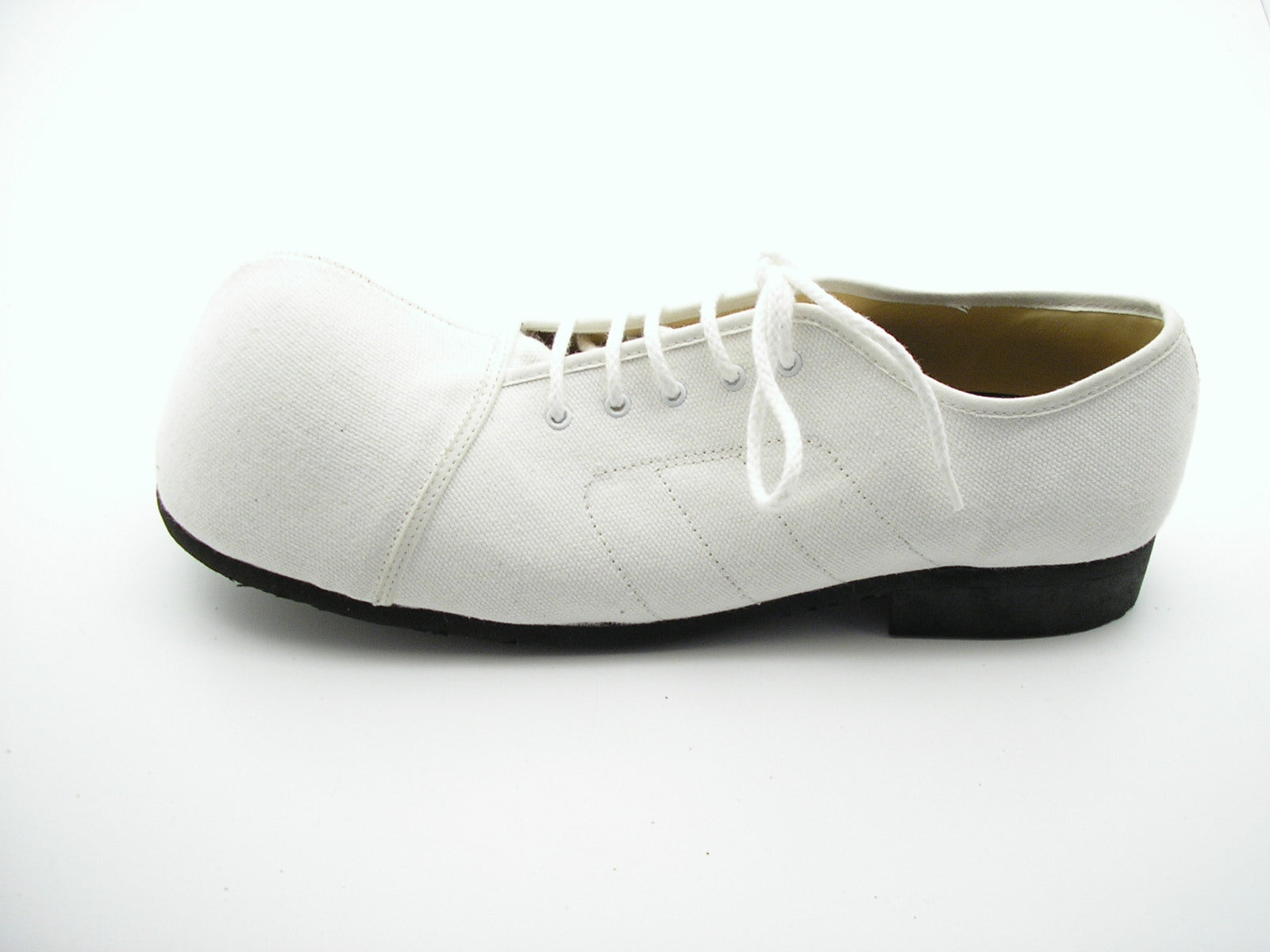 Clownschoen canvas 1